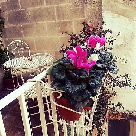 Alle Conche 招待所 马泰拉